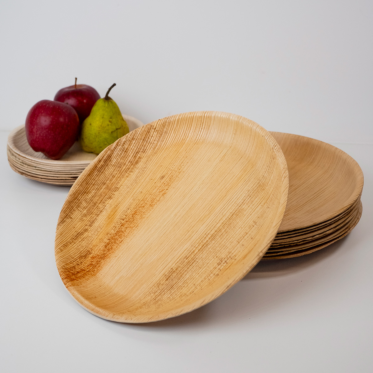 Set de 10 Platos Hoja Palma 10″