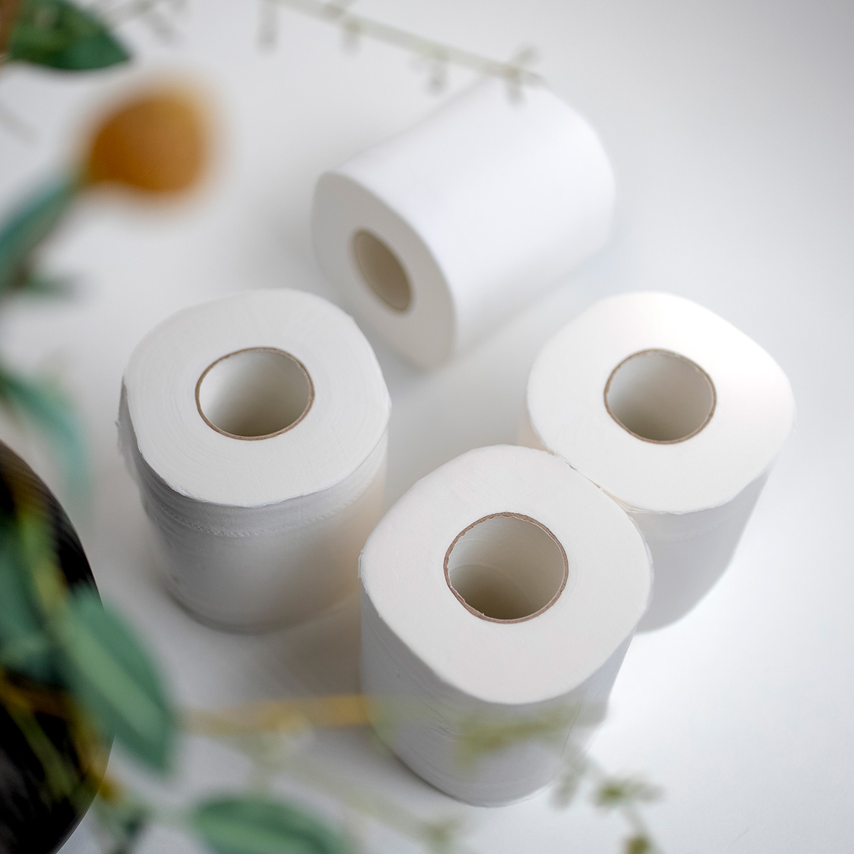 Rollos Papel Ecológico